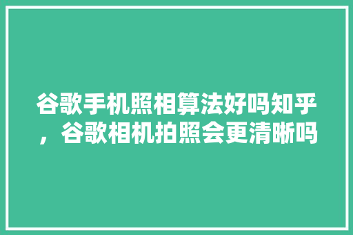 谷歌手机照相算法好吗知乎，谷歌相机拍照会更清晰吗 番茄种植技巧