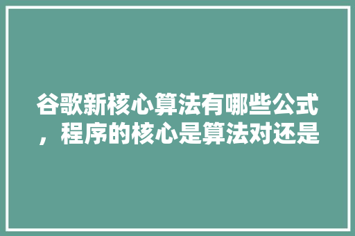 谷歌新核心算法有哪些公式，程序的核心是算法对还是错