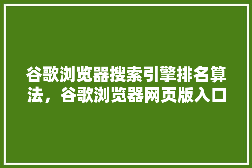 谷歌浏览器搜索引擎排名算法，谷歌浏览器网页版入口