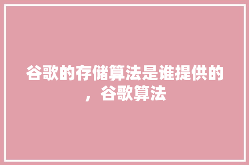 谷歌的存储算法是谁提供的，谷歌算法