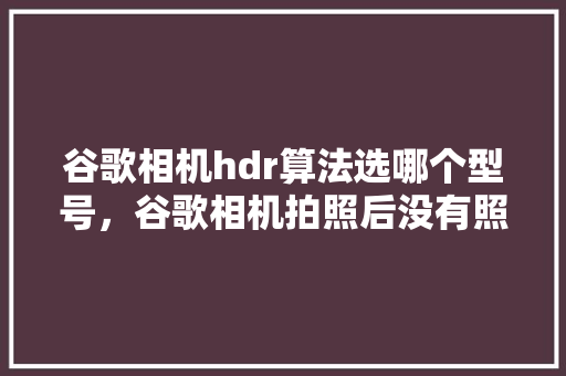 谷歌相机hdr算法选哪个型号，谷歌相机拍照后没有照片