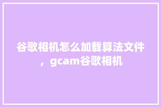 谷歌相机怎么加载算法文件，gcam谷歌相机