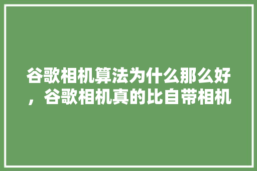 谷歌相机算法为什么那么好，谷歌相机真的比自带相机好用吗