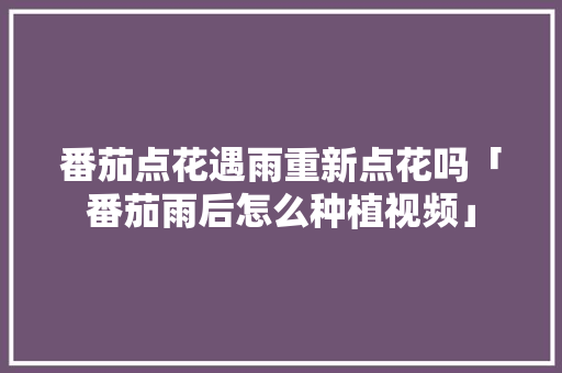 番茄点花遇雨重新点花吗「番茄雨后怎么种植视频」 番茄点花遇雨重新点花吗「番茄雨后怎么种植视频」 土壤施肥