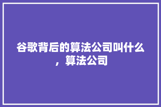谷歌背后的算法公司叫什么，算法公司