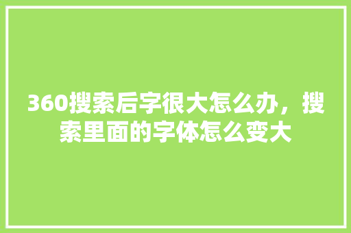 360搜索后字很大怎么办，搜索里面的字体怎么变大