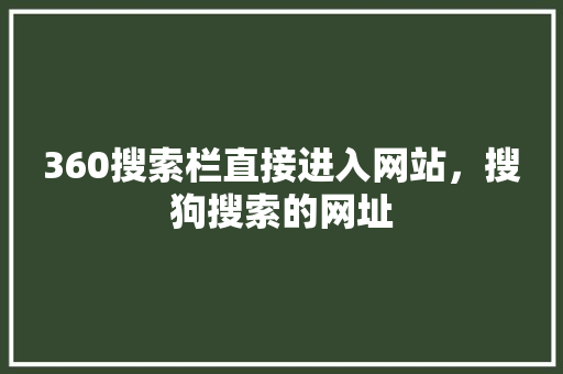 360搜索栏直接进入网站，搜狗搜索的网址
