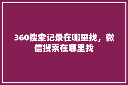 360搜索记录在哪里找，微信搜索在哪里找