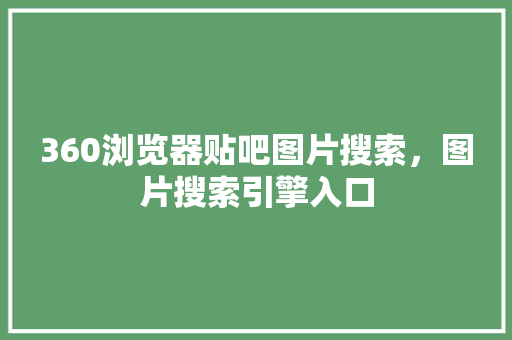 360浏览器贴吧图片搜索，图片搜索引擎入口