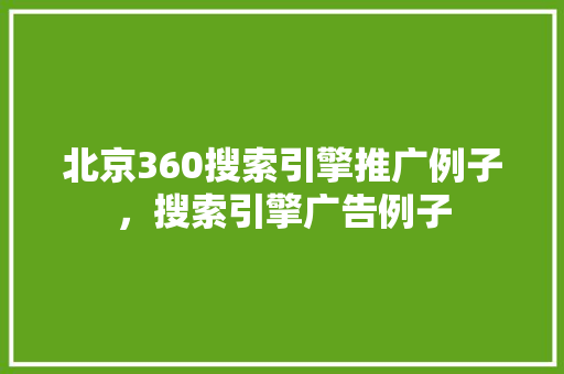 北京360搜索引擎推广例子，搜索引擎广告例子