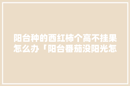 阳台种的西红柿个高不挂果怎么办「阳台番茄没阳光怎么种植呢」 阳台种的西红柿个高不挂果怎么办「阳台番茄没阳光怎么种植呢」 花朵知识