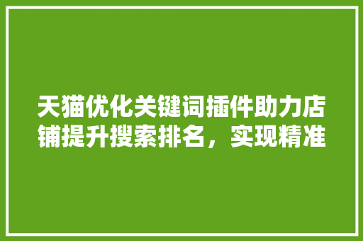 天猫优化关键词插件助力店铺提升搜索排名，实现精准营销