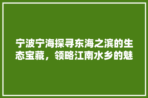 宁波宁海探寻东海之滨的生态宝藏，领略江南水乡的魅力