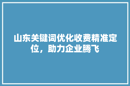 山东关键词优化收费精准定位，助力企业腾飞