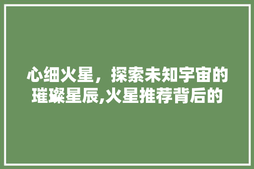 心细火星，探索未知宇宙的璀璨星辰,火星推荐背后的科技力量