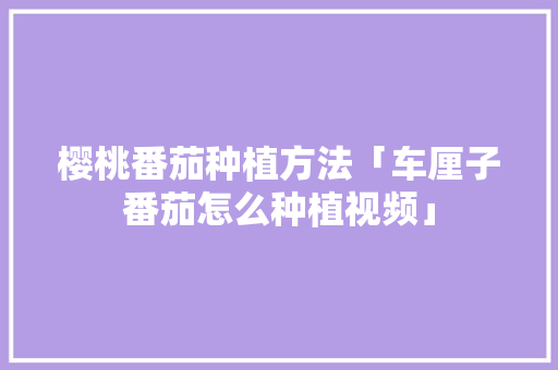 樱桃番茄种植方法「车厘子番茄怎么种植视频」 樱桃番茄种植方法「车厘子番茄怎么种植视频」 种植技巧