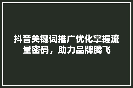 抖音关键词推广优化掌握流量密码，助力品牌腾飞