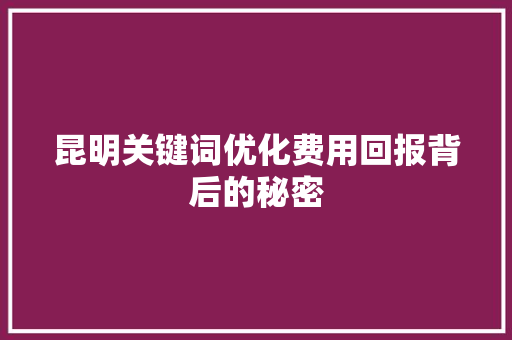 昆明关键词优化费用回报背后的秘密