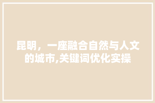 昆明，一座融合自然与人文的城市,关键词优化实操