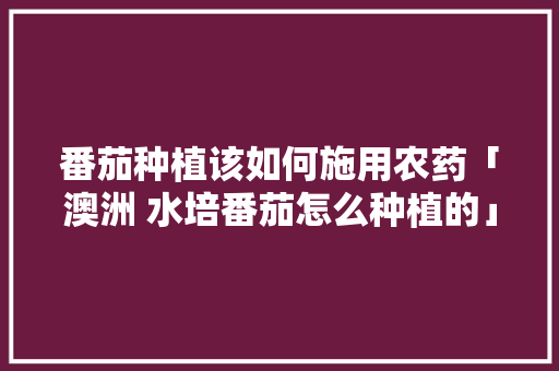 番茄种植该如何施用农药「澳洲 水培番茄怎么种植的」 番茄种植该如何施用农药「澳洲 水培番茄怎么种植的」 农业常识
