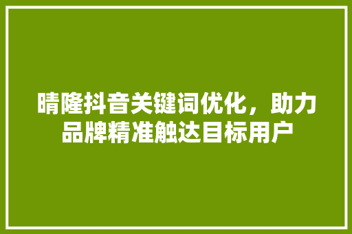 晴隆抖音关键词优化，助力品牌精准触达目标用户
