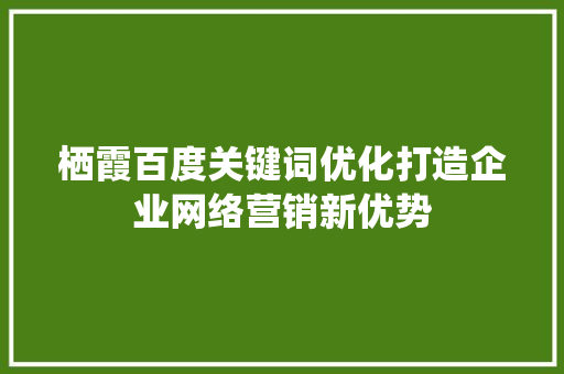 栖霞百度关键词优化打造企业网络营销新优势