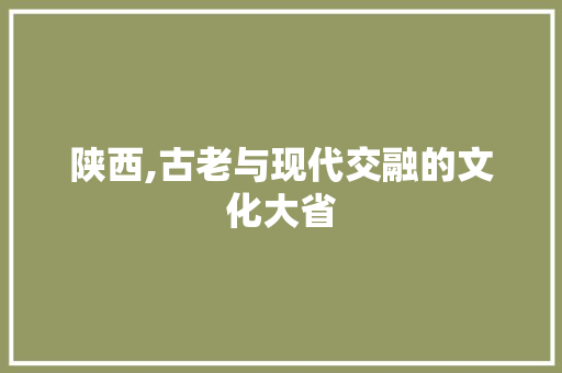 陕西,古老与现代交融的文化大省