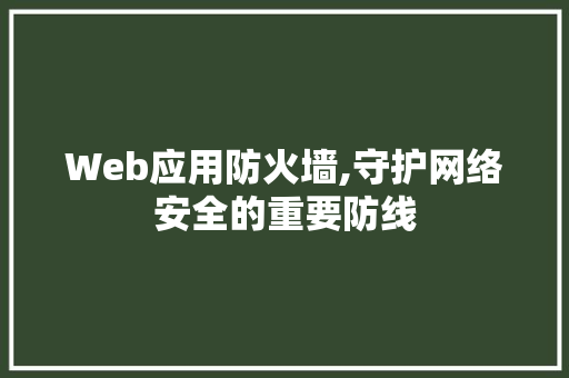 Web应用防火墙,守护网络安全的重要防线