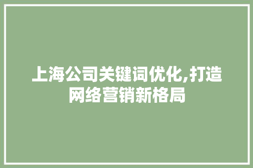 上海公司关键词优化,打造网络营销新格局