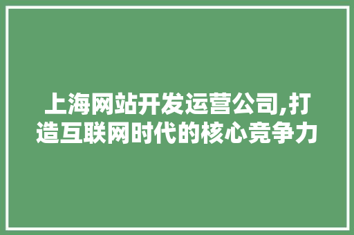 上海网站开发运营公司,打造互联网时代的核心竞争力