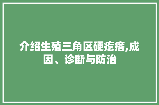 介绍生殖三角区硬疙瘩,成因、诊断与防治