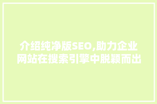 介绍纯净版SEO,助力企业网站在搜索引擎中脱颖而出
