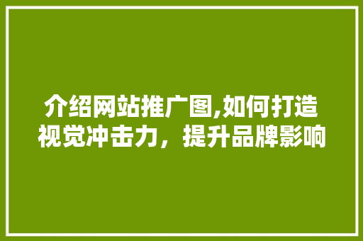 介绍网站推广图,如何打造视觉冲击力，提升品牌影响力