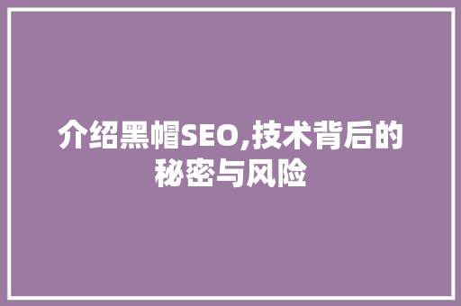 介绍黑帽SEO,技术背后的秘密与风险