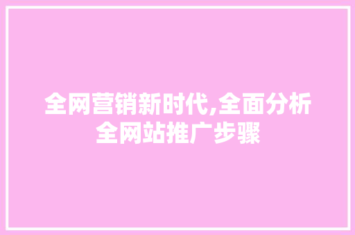 全网营销新时代,全面分析全网站推广步骤