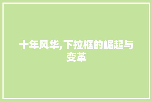 十年风华,下拉框的崛起与变革 花朵知识