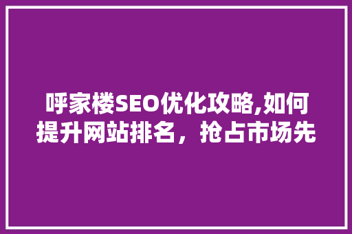 呼家楼SEO优化攻略,如何提升网站排名，抢占市场先机