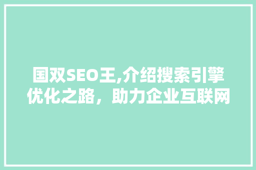 国双SEO王,介绍搜索引擎优化之路，助力企业互联网营销