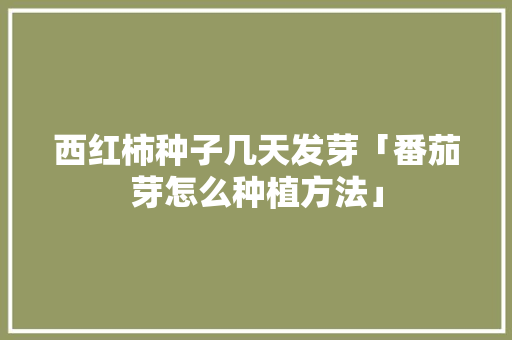 西红柿种子几天发芽「番茄芽怎么种植方法」