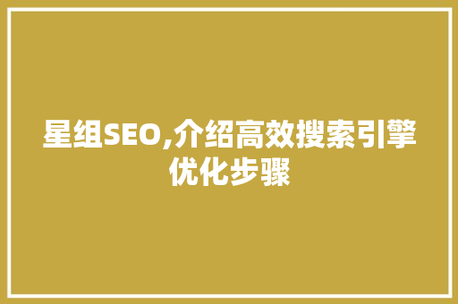 星组SEO,介绍高效搜索引擎优化步骤
