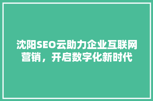 沈阳SEO云助力企业互联网营销，开启数字化新时代