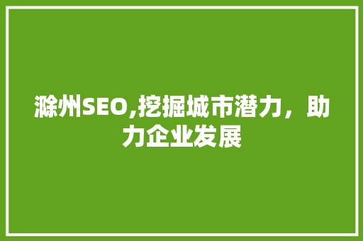滁州SEO,挖掘城市潜力，助力企业发展