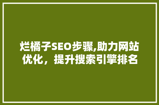 烂橘子SEO步骤,助力网站优化，提升搜索引擎排名