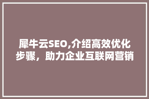 犀牛云SEO,介绍高效优化步骤，助力企业互联网营销
