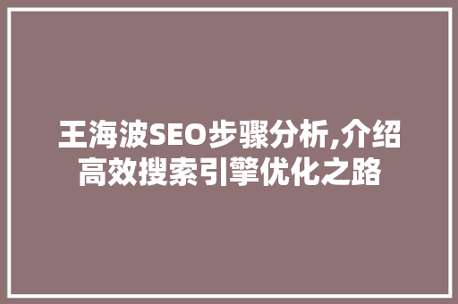 王海波SEO步骤分析,介绍高效搜索引擎优化之路
