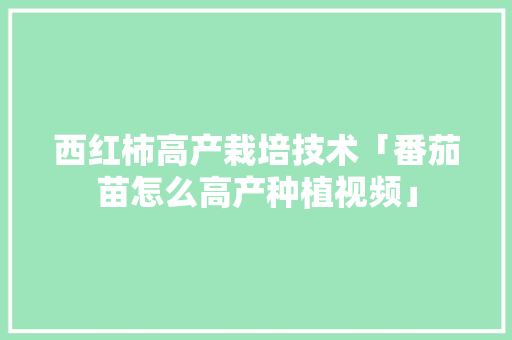 西红柿高产栽培技术「番茄苗怎么高产种植视频」 西红柿高产栽培技术「番茄苗怎么高产种植视频」 土壤施肥