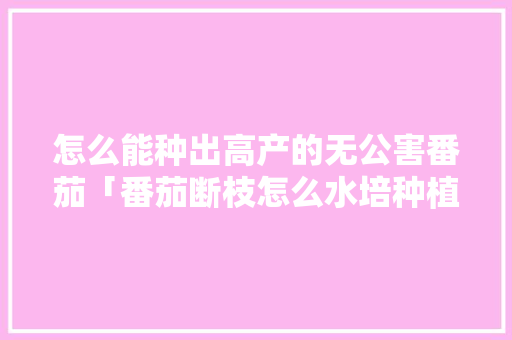怎么能种出高产的无公害番茄「番茄断枝怎么水培种植的视频」 怎么能种出高产的无公害番茄「番茄断枝怎么水培种植的视频」 土壤施肥