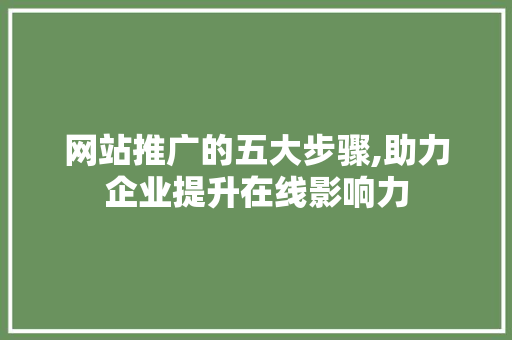 网站推广的五大步骤,助力企业提升在线影响力