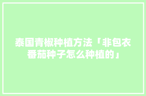 泰国青椒种植方法「非包衣番茄种子怎么种植的」
