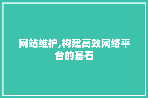 网站维护,构建高效网络平台的基石